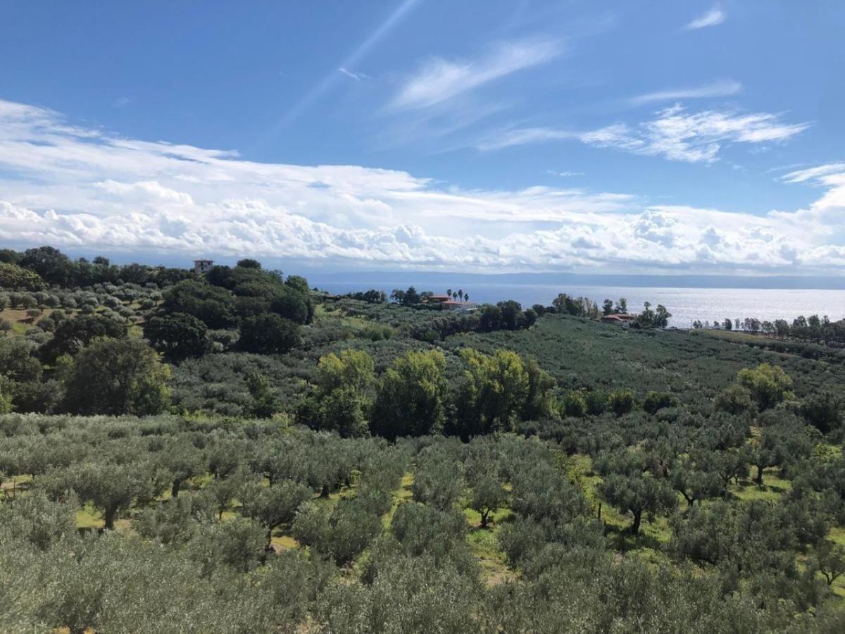 Casale Calabria Bed and Breakfast Gizzeria Eksteriør billede