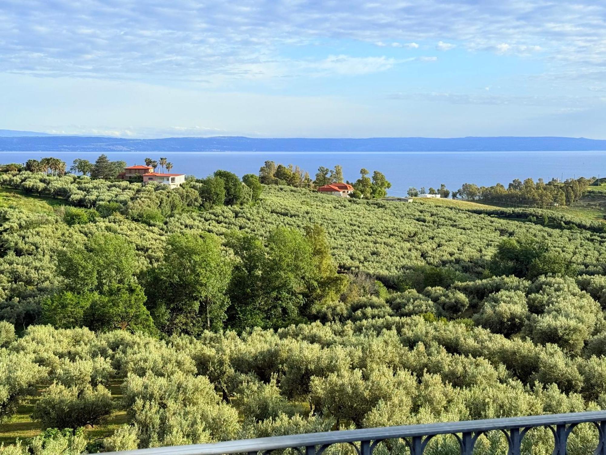 Casale Calabria Bed and Breakfast Gizzeria Eksteriør billede