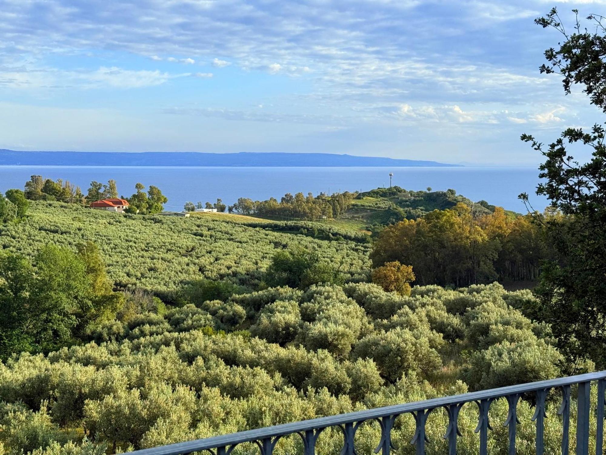 Casale Calabria Bed and Breakfast Gizzeria Eksteriør billede