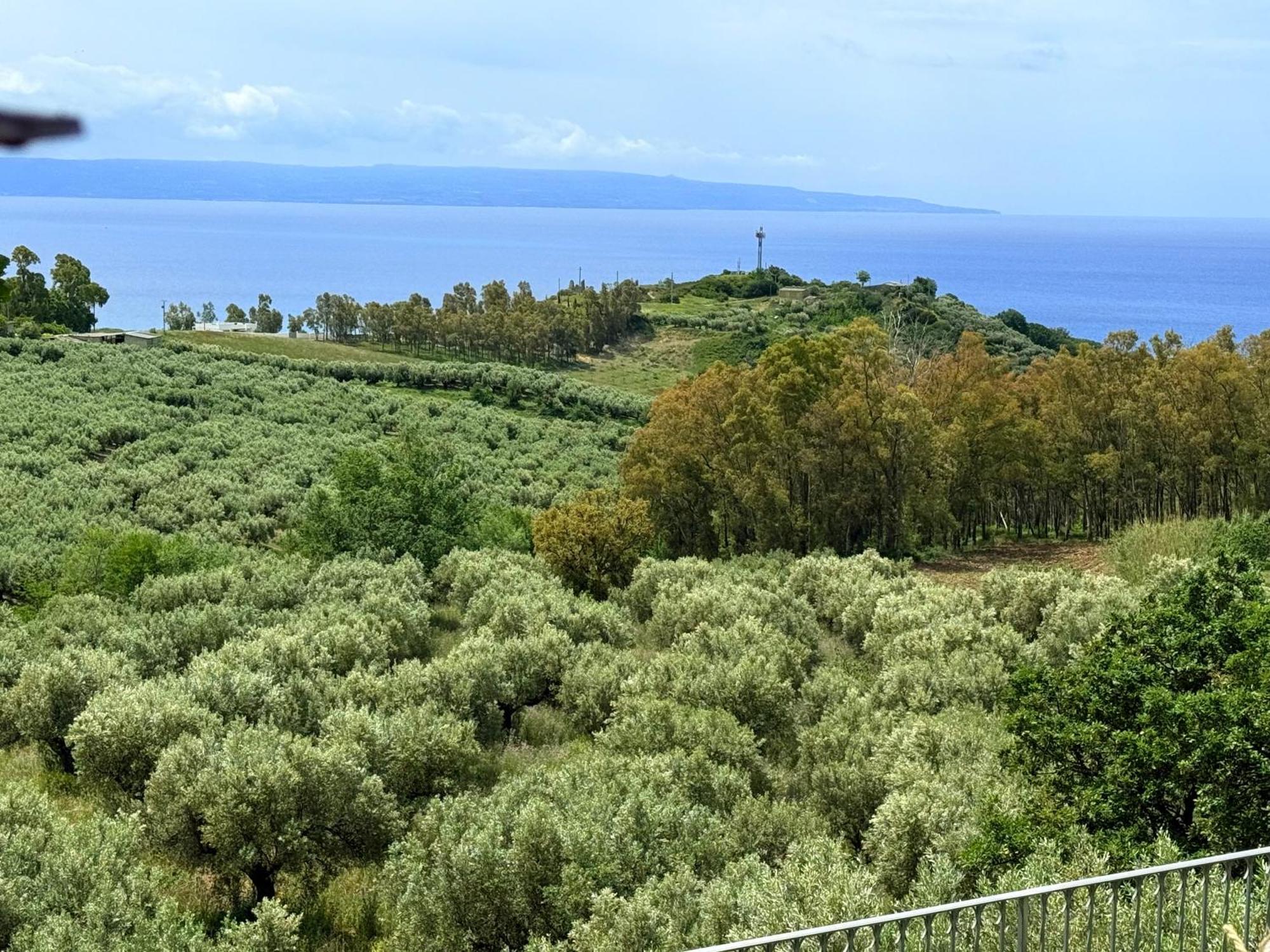 Casale Calabria Bed and Breakfast Gizzeria Eksteriør billede